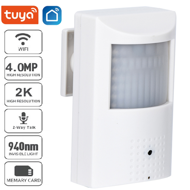 Smart Home Google Nest - Cámara WiFi Mini POE Tuya con