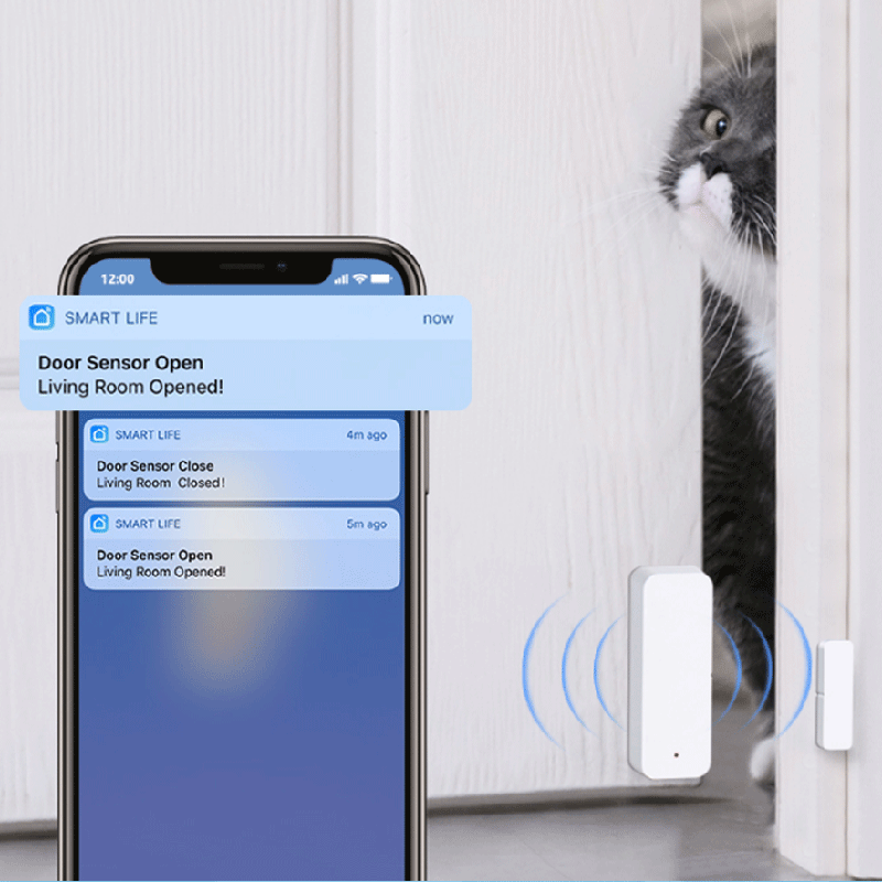 Sensor de contacto para puerta - Smart Home Remote Control reseña y precio